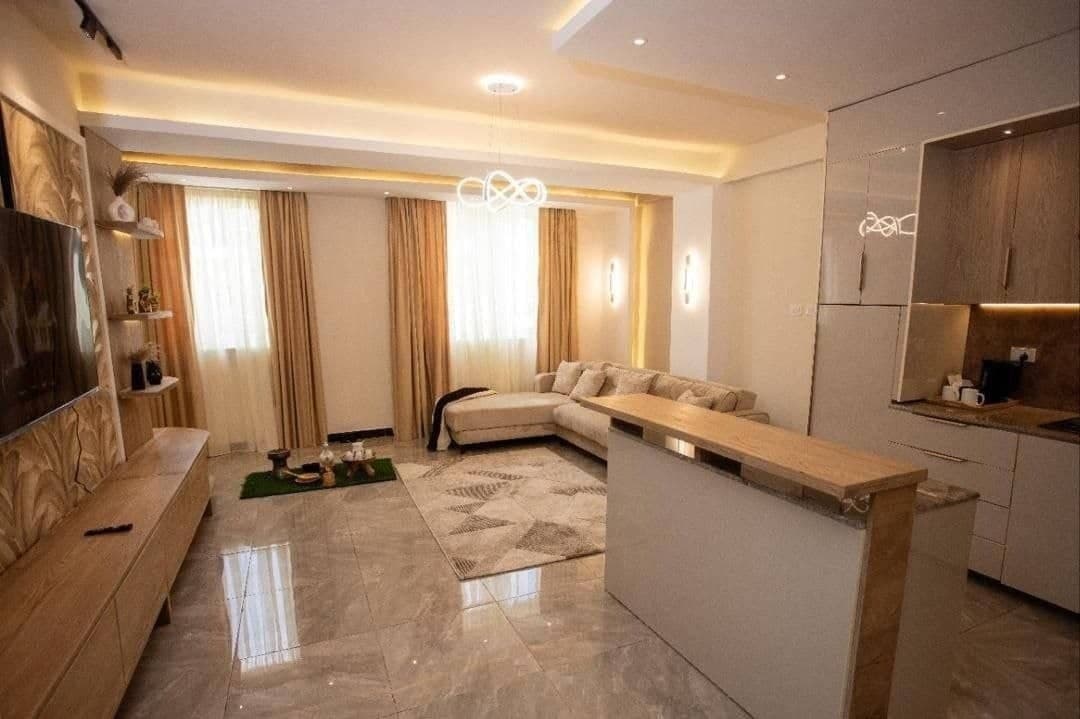 Modern One Bedroom Furnished Apartment in Bole — 1