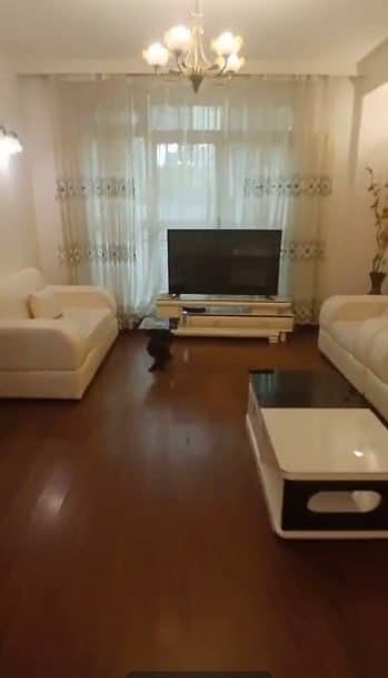 Modern G+2 House for Rent in Hayarat — 1