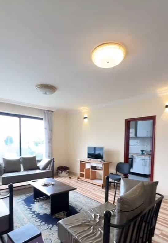 Modern Three Bedroom Apartment in Kazanchis — 1